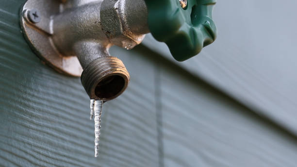 Best Leak Detection Services  in Lake Tansi, TN